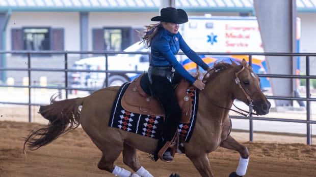 Equestrian